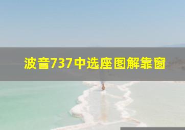 波音737中选座图解靠窗