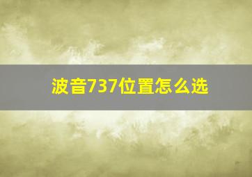 波音737位置怎么选