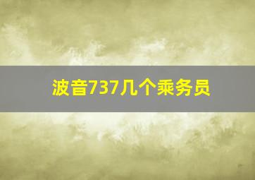 波音737几个乘务员