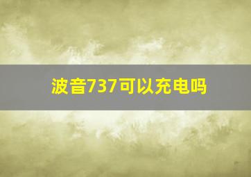 波音737可以充电吗