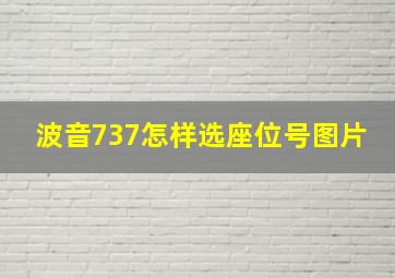 波音737怎样选座位号图片