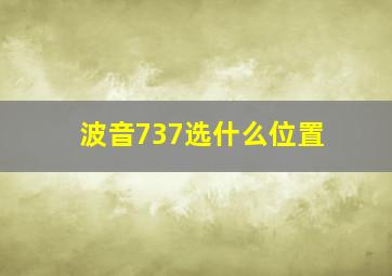 波音737选什么位置