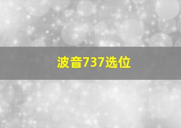 波音737选位