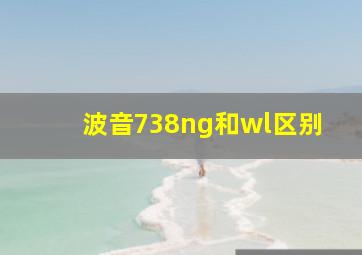 波音738ng和wl区别