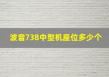 波音738中型机座位多少个