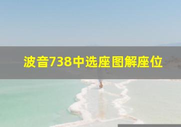 波音738中选座图解座位