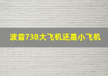 波音738大飞机还是小飞机