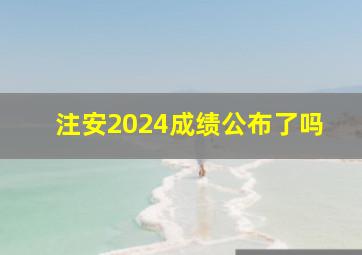 注安2024成绩公布了吗