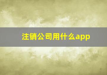 注销公司用什么app