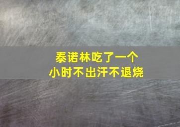 泰诺林吃了一个小时不出汗不退烧