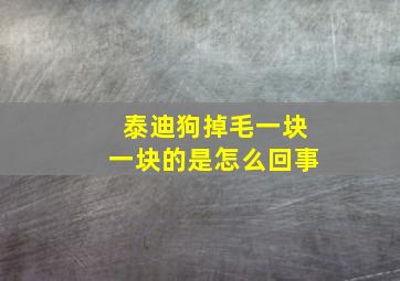 泰迪狗掉毛一块一块的是怎么回事