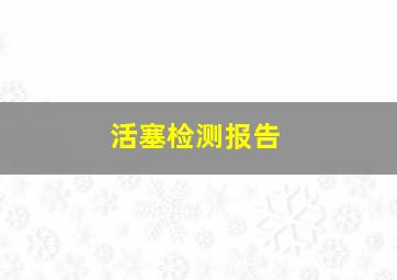 活塞检测报告