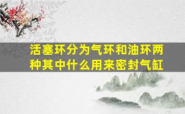 活塞环分为气环和油环两种其中什么用来密封气缸