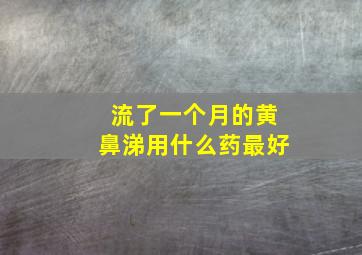 流了一个月的黄鼻涕用什么药最好