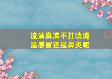 流清鼻涕不打喷嚏是感冒还是鼻炎呢