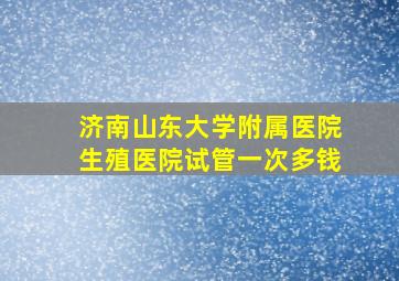 济南山东大学附属医院生殖医院试管一次多钱