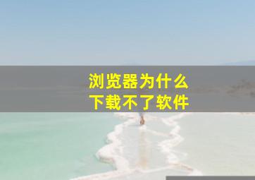 浏览器为什么下载不了软件