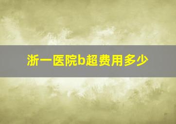 浙一医院b超费用多少