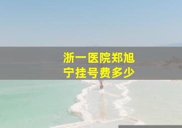 浙一医院郑旭宁挂号费多少