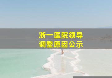 浙一医院领导调整原因公示