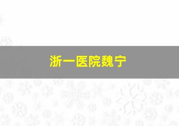 浙一医院魏宁