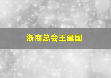 浙商总会王建国