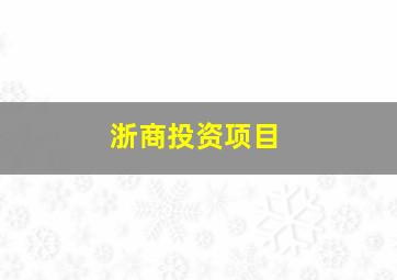 浙商投资项目