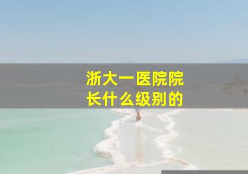 浙大一医院院长什么级别的