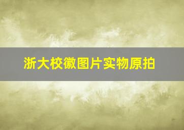 浙大校徽图片实物原拍