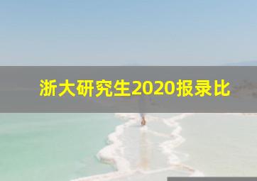 浙大研究生2020报录比