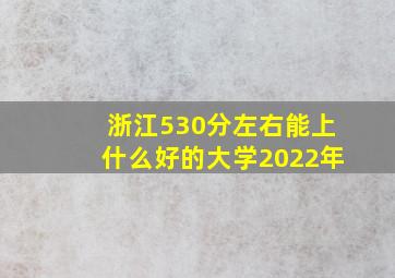 浙江530分左右能上什么好的大学2022年