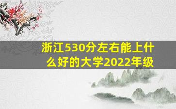 浙江530分左右能上什么好的大学2022年级