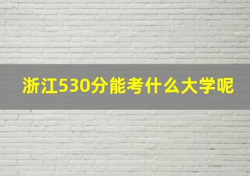 浙江530分能考什么大学呢