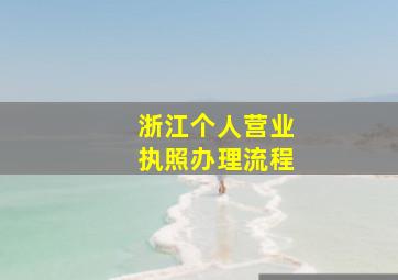 浙江个人营业执照办理流程