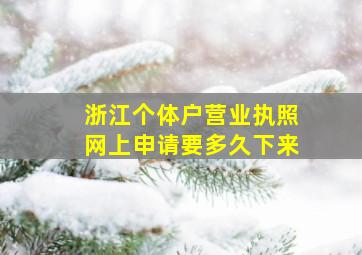 浙江个体户营业执照网上申请要多久下来