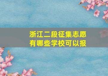 浙江二段征集志愿有哪些学校可以报