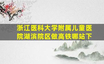 浙江医科大学附属儿童医院湖滨院区做高铁哪站下