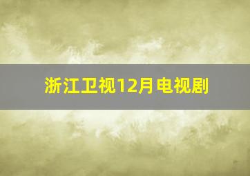 浙江卫视12月电视剧