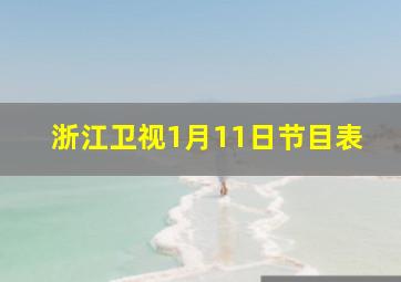 浙江卫视1月11日节目表