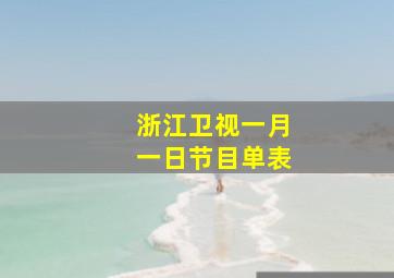 浙江卫视一月一日节目单表