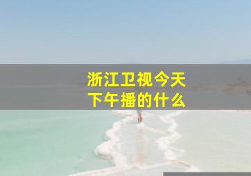 浙江卫视今天下午播的什么