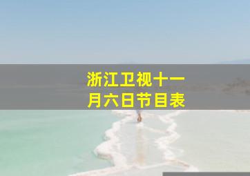 浙江卫视十一月六日节目表