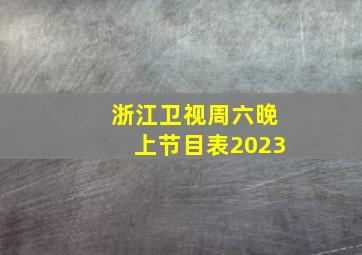 浙江卫视周六晚上节目表2023