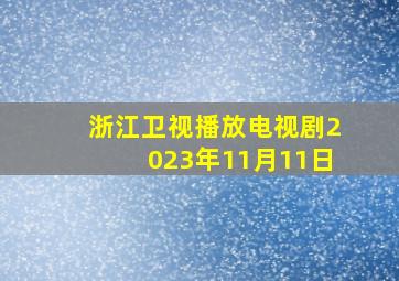 浙江卫视播放电视剧2023年11月11日