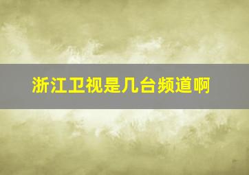 浙江卫视是几台频道啊