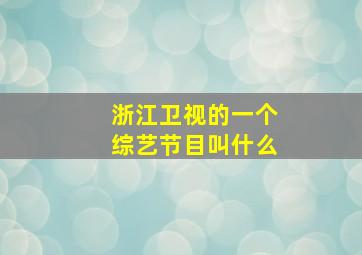 浙江卫视的一个综艺节目叫什么