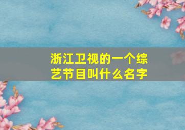 浙江卫视的一个综艺节目叫什么名字