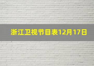 浙江卫视节目表12月17日