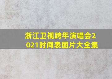 浙江卫视跨年演唱会2021时间表图片大全集