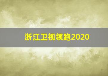 浙江卫视领跑2020